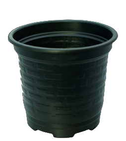 تولید کننده گلدان ژله ای