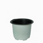 تولید کننده گلدان ژله ای