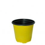 خرید گلدان ژله ای ارزان