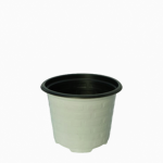 خرید گلدان ژله ای