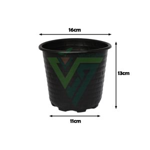 گلدان ژله ای سایز 16