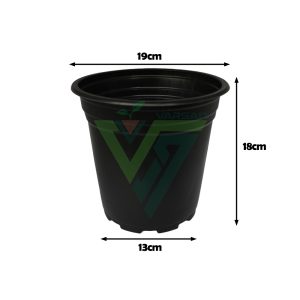 گلدان ژله ای سایز 19