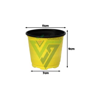 گلدان ژله ای رنگی سایز 11