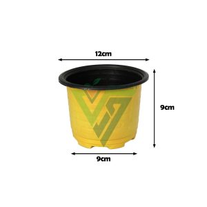 گلدان ژله ای رنگی سایز 12