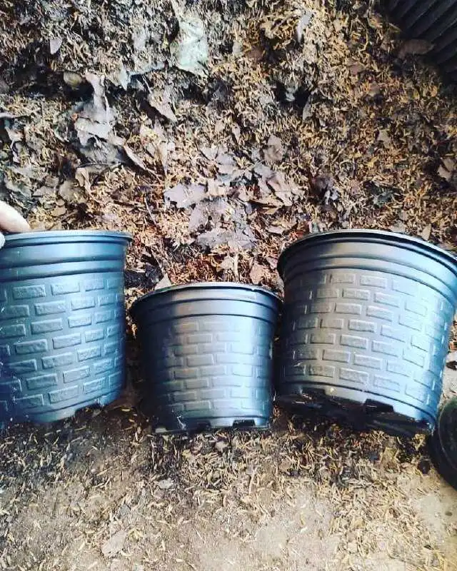 انواع سایزهای گلدان ژله ای